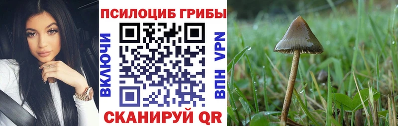 Псилоцибиновые грибы GOLDEN TEACHER  сайты даркнета состав  Вольск 