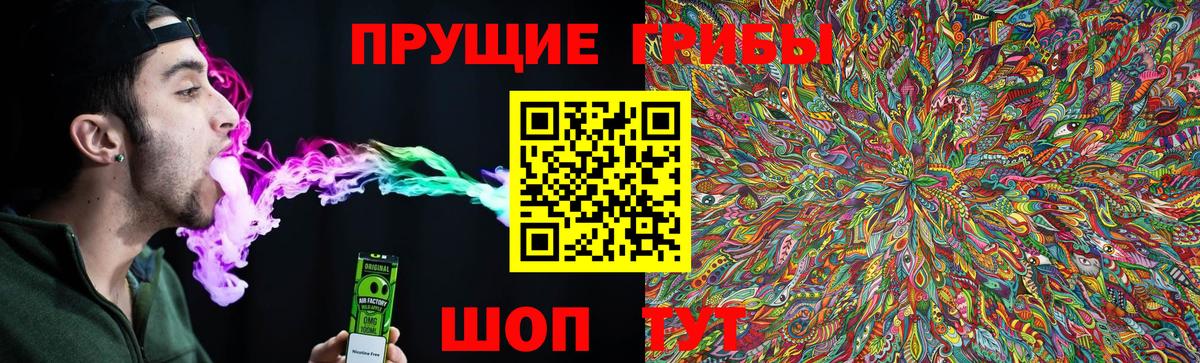 Псилоцибиновые грибы Psilocybe  Вход с VPN  Псилоцибиновые грибы Psilocybine cubensis  Вольск 